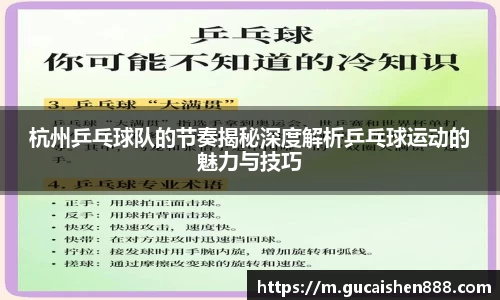 杭州乒乓球队的节奏揭秘深度解析乒乓球运动的魅力与技巧