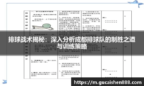 排球战术揭秘：深入分析成都排球队的制胜之道与训练策略