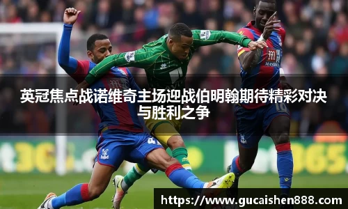 英冠焦点战诺维奇主场迎战伯明翰期待精彩对决与胜利之争