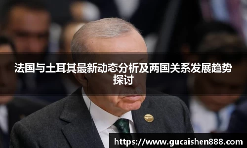 法国与土耳其最新动态分析及两国关系发展趋势探讨