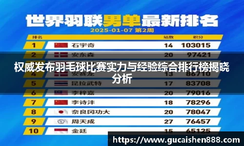 权威发布羽毛球比赛实力与经验综合排行榜揭晓分析